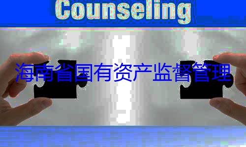 委副书记王理委员会党查调查有福接受审海南省国有资产监督管